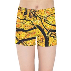 Golden Vein Kids Sports Shorts by FunnyCow