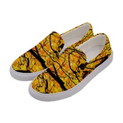 Golden Vein Women s Canvas Slip Ons