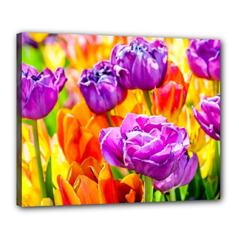Tulip Flowers Canvas 20  X 16  by FunnyCow