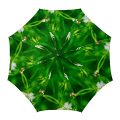 Inside The Grass Golf Umbrellas