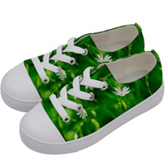 Inside The Grass Kids  Low Top Canvas Sneakers