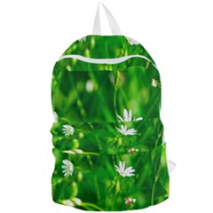 Inside The Grass Foldable Lightweight Backpack