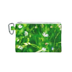 Inside The Grass Canvas Cosmetic Bag (small)