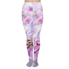 Pink Lilac Flowers Women s Tights by FunnyCow