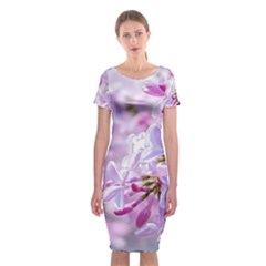 Pink Lilac Flowers Classic Short Sleeve Midi Dress by FunnyCow