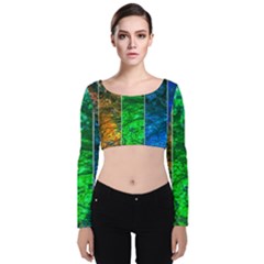 Rainbow Of Water Velvet Crop Top by FunnyCow