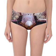 The Art Of Military Aircraft Mid-waist Bikini Bottoms by FunnyCow