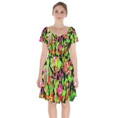 Spring Ornaments Short Sleeve Bardot Dress