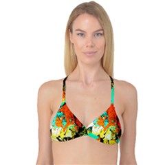 428252604002397 428252204002437 428252564002401 428252527335738 Reversible Tri Bikini Top