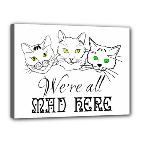 Funny Cats  We Are All Mad Here Canvas 16  X 12  by FunnyCow