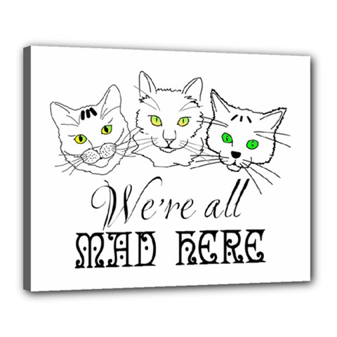 Funny Cats  We Are All Mad Here Canvas 20  X 16  by FunnyCow