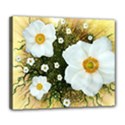 Summer Anemone Sylvestris Deluxe Canvas 24  x 20   View1