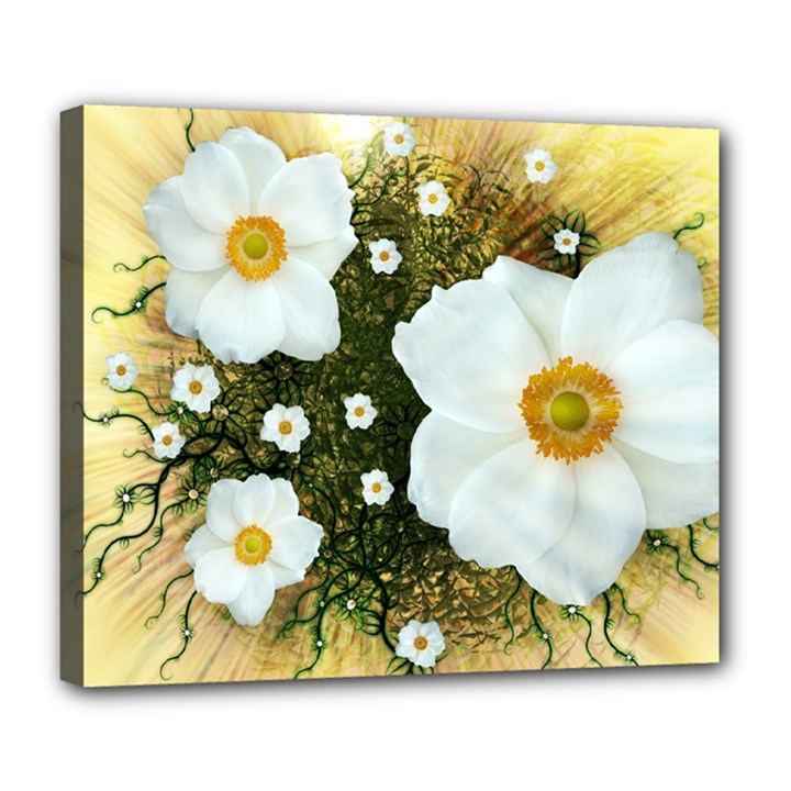 Summer Anemone Sylvestris Deluxe Canvas 24  x 20  