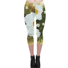 Summer Anemone Sylvestris Capri Leggings  by Nexatart