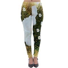 Summer Anemone Sylvestris Lightweight Velour Leggings by Nexatart