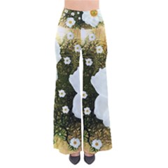 Summer Anemone Sylvestris So Vintage Palazzo Pants by Nexatart