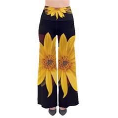 Sun Flower Blossom Bloom Particles So Vintage Palazzo Pants by Nexatart