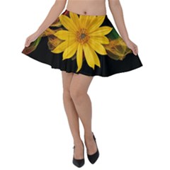 Sun Flower Blossom Bloom Particles Velvet Skater Skirt by Nexatart