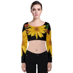 Sun Flower Blossom Bloom Particles Velvet Crop Top