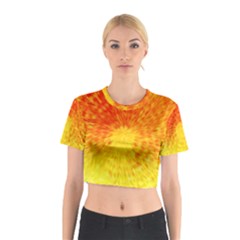 Abstract Explosion Blow Up Circle Cotton Crop Top by Nexatart