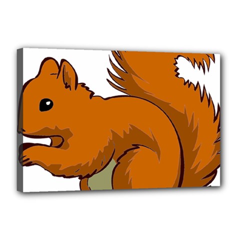 Squirrel Animal Pet Canvas 18  X 12  by Sapixe