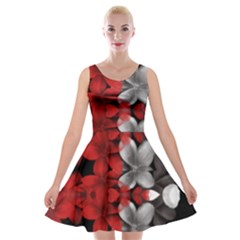Red And Black Florals  Velvet Skater Dress by flipstylezfashionsLLC
