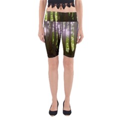 Tree of Trees Yoga Cropped Leggings