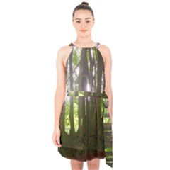 Tree of Trees Halter Collar Waist Tie Chiffon Dress