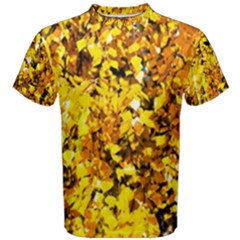 Birch Tree Yellow Leaves Men s Cotton Tee by FunnyCow