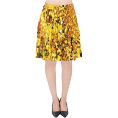 Birch Tree Yellow Leaves Velvet High Waist Skirt by FunnyCow