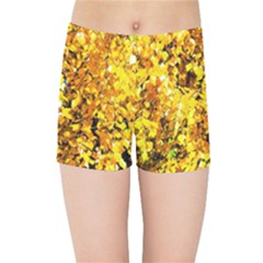 Birch Tree Yellow Leaves Kids Sports Shorts by FunnyCow