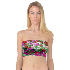 Colorful Petunia Flowers Bandeau Top by FunnyCow