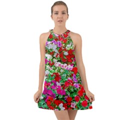 Colorful Petunia Flowers Halter Tie Back Chiffon Dress by FunnyCow