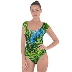 Forest   Strain Towards The Light Short Sleeve Leotard 