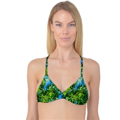 Forest   Strain Towards The Light Reversible Tri Bikini Top by FunnyCow