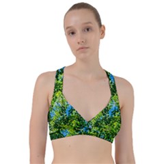 Forest   Strain Towards The Light Sweetheart Sports Bra by FunnyCow