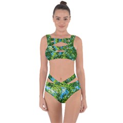 Forest   Strain Towards The Light Bandaged Up Bikini Set  by FunnyCow