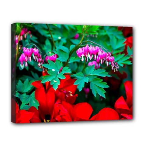 Bleeding Heart Flowers Canvas 14  X 11  by FunnyCow