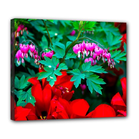 Bleeding Heart Flowers Deluxe Canvas 24  X 20   by FunnyCow