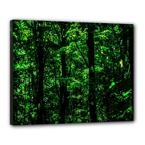 Emerald Forest Canvas 20  X 16  by FunnyCow