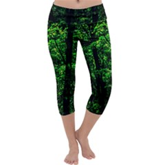 Emerald Forest Capri Yoga Leggings by FunnyCow
