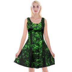 Emerald Forest Reversible Velvet Sleeveless Dress by FunnyCow