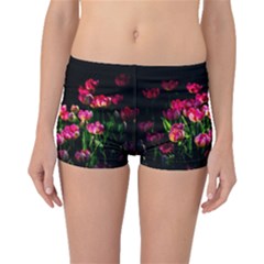 Pink Tulips Dark Background Boyleg Bikini Bottoms