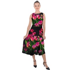 Pink Tulips Dark Background Midi Tie-back Chiffon Dress by FunnyCow