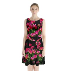 Pink Tulips Dark Background Sleeveless Waist Tie Chiffon Dress by FunnyCow
