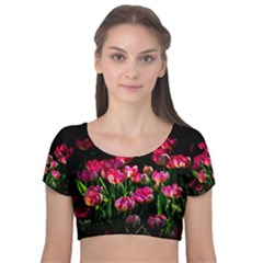 Pink Tulips Dark Background Velvet Short Sleeve Crop Top  by FunnyCow