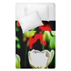 White And Red Sunlit Tulips Duvet Cover Double Side (single Size) by FunnyCow