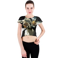 Two White Magnolia Flowers Crew Neck Crop Top by FunnyCow