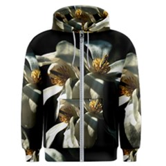 Two White Magnolia Flowers Men s Zipper Hoodie by FunnyCow