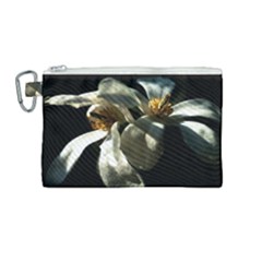 Two White Magnolia Flowers Canvas Cosmetic Bag (medium) by FunnyCow